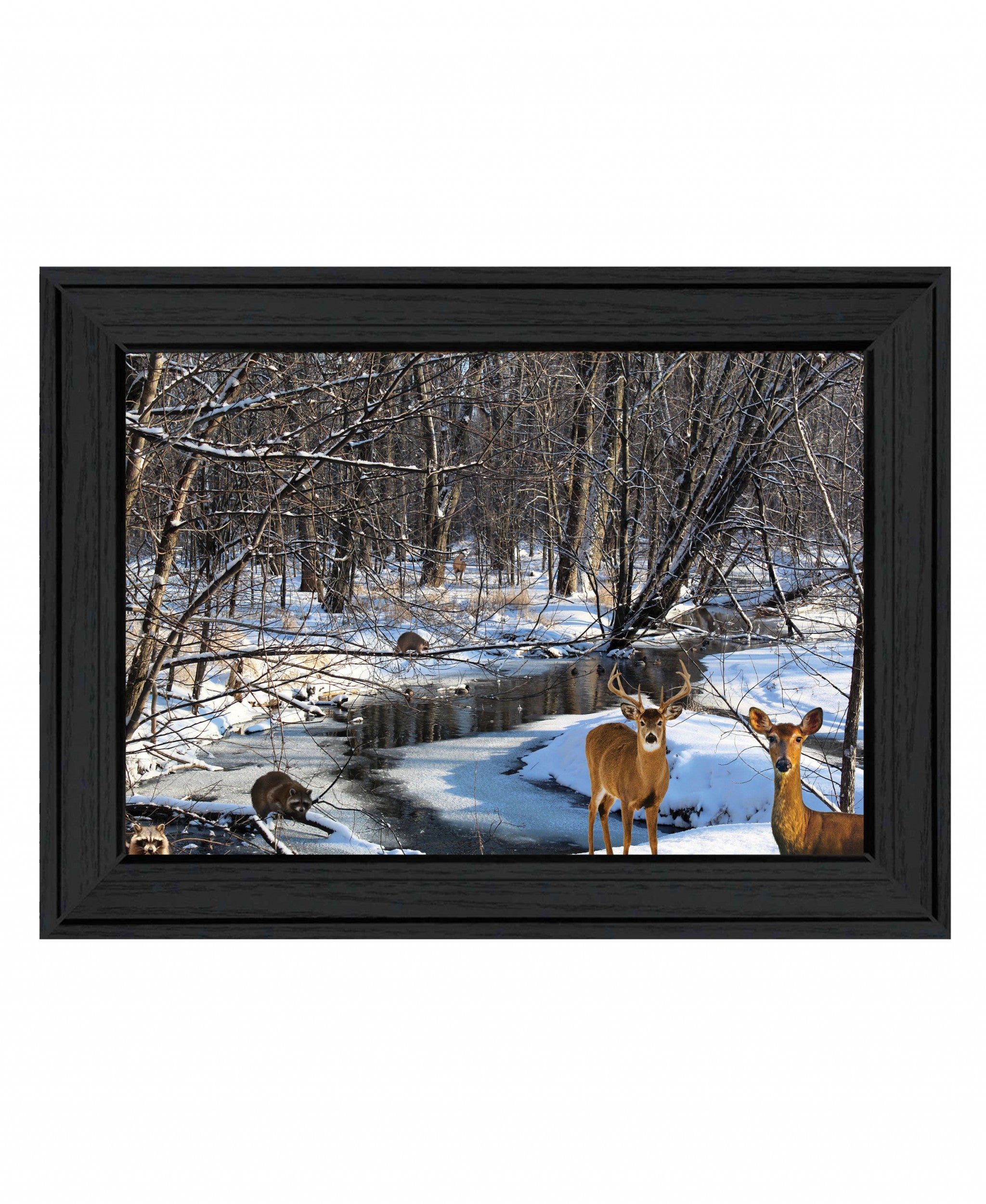 Great Outdoors Nature 1 Black Framed Print Wall Art