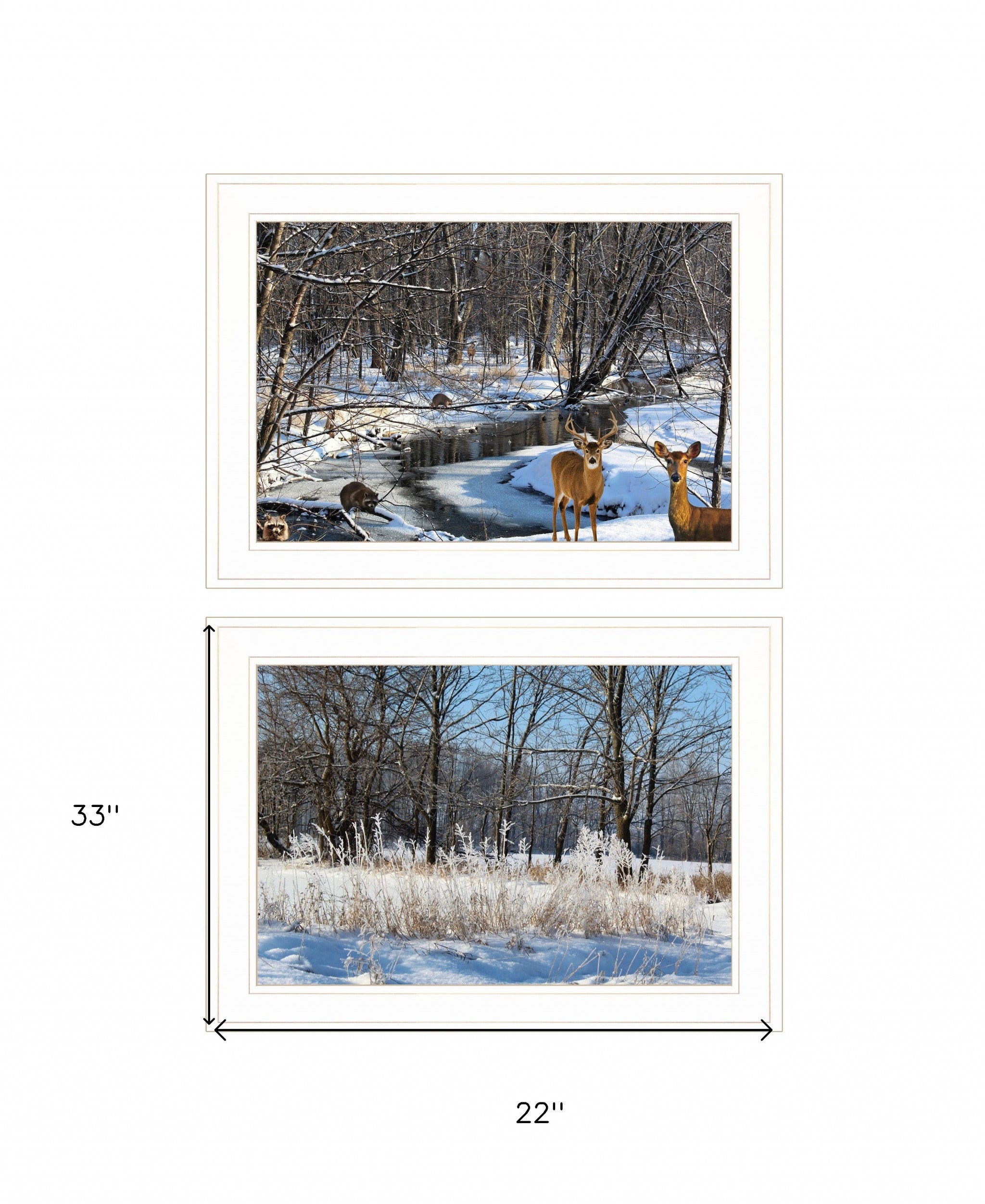 Set Of Two Great Outdoors Nature or Winter Forest 2 White Framed Print Wall Art