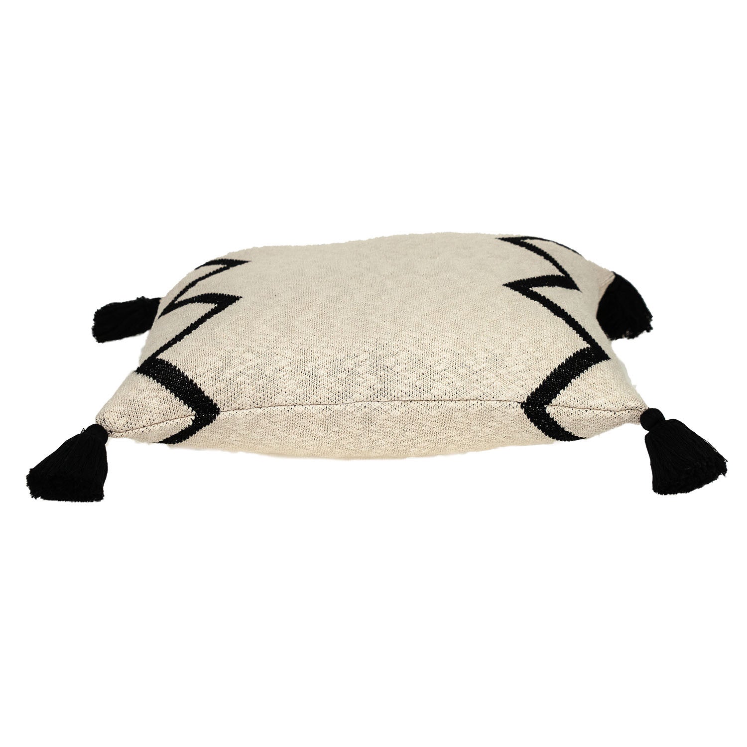 20" x 20" Black and Cream Zigzag Pattern Square Accent Throw Pillow with Tassel