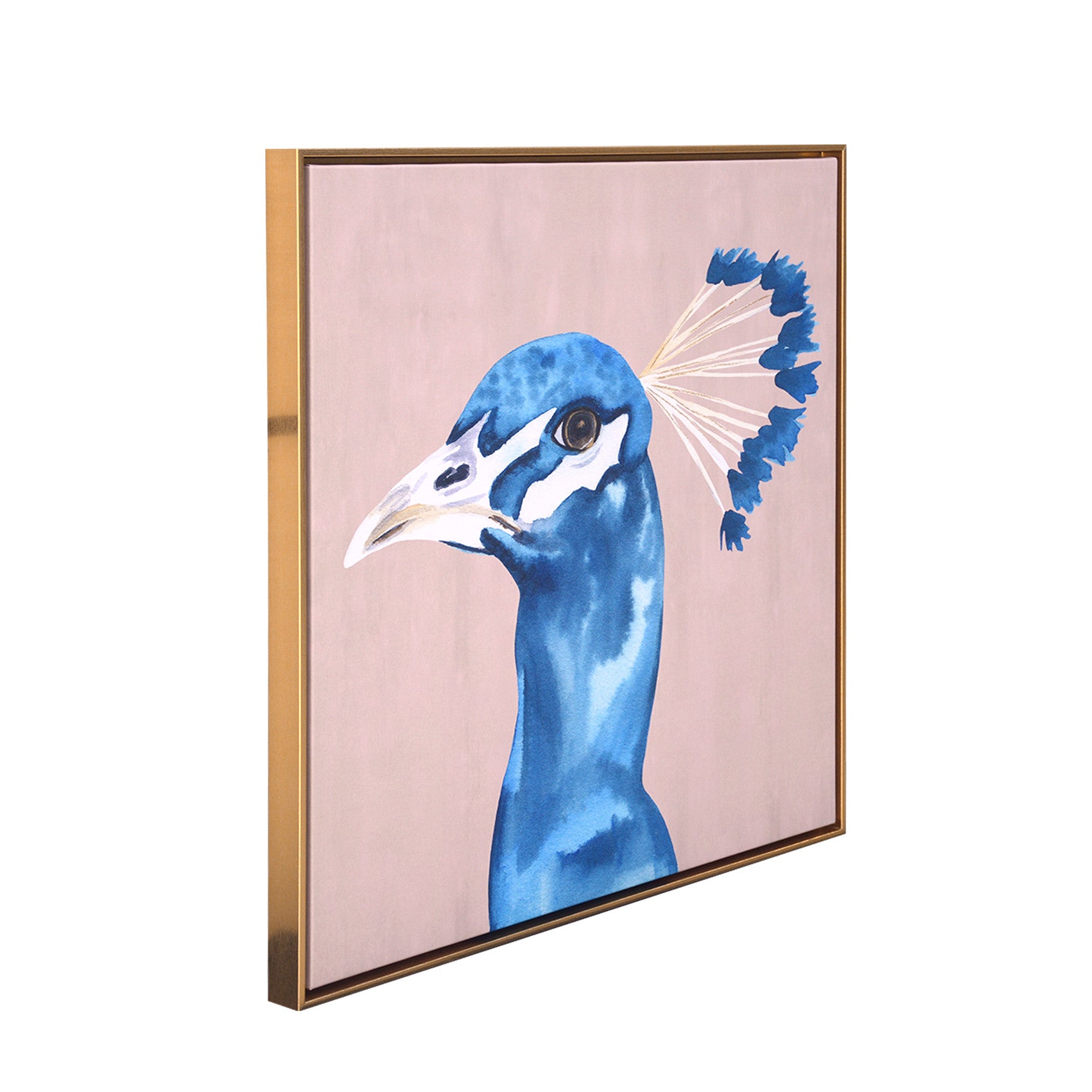 Peacock Portrait Gold Floater Frame p-Oxybis(benzenesulfonyl hydrazide) Wall Art