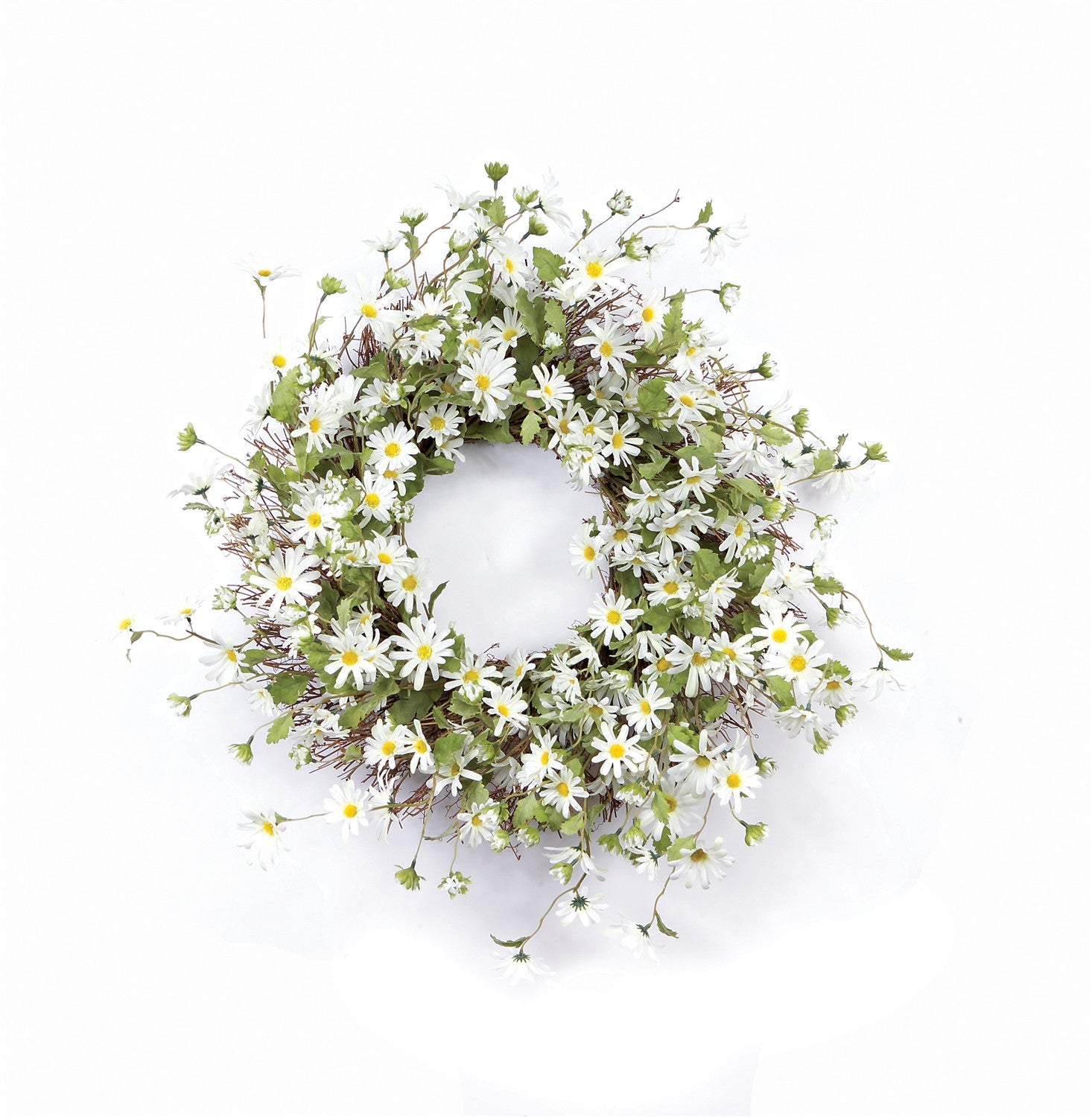 23" Green and White Artificial Spring Daisy Wreath