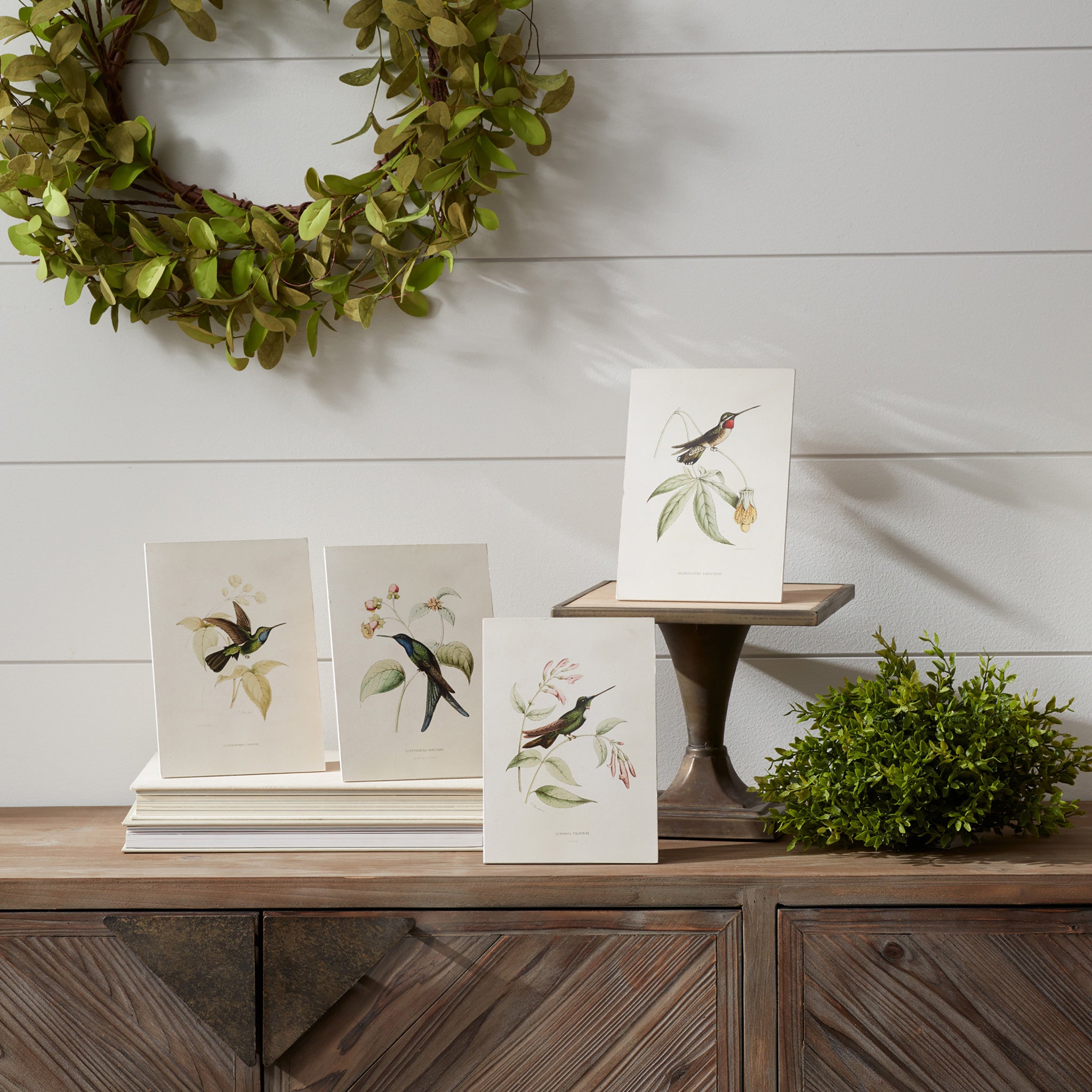 Set Of Four White Hummingbird Wall Decor