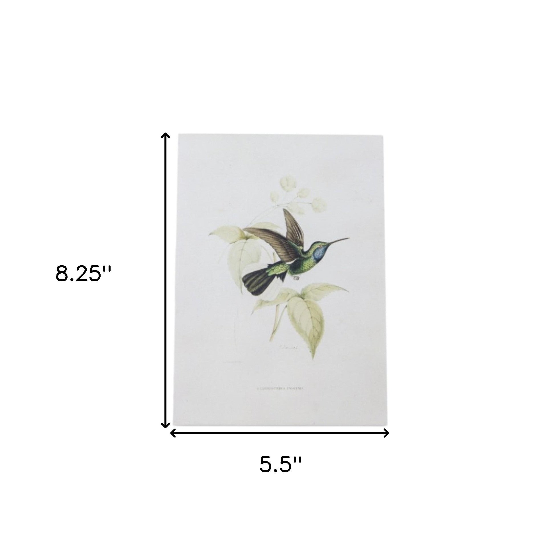 Set Of Four White Hummingbird Wall Decor