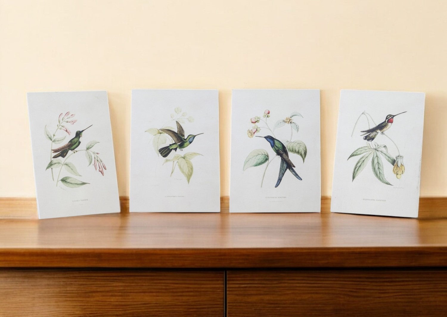 Set Of Four White Hummingbird Wall Decor