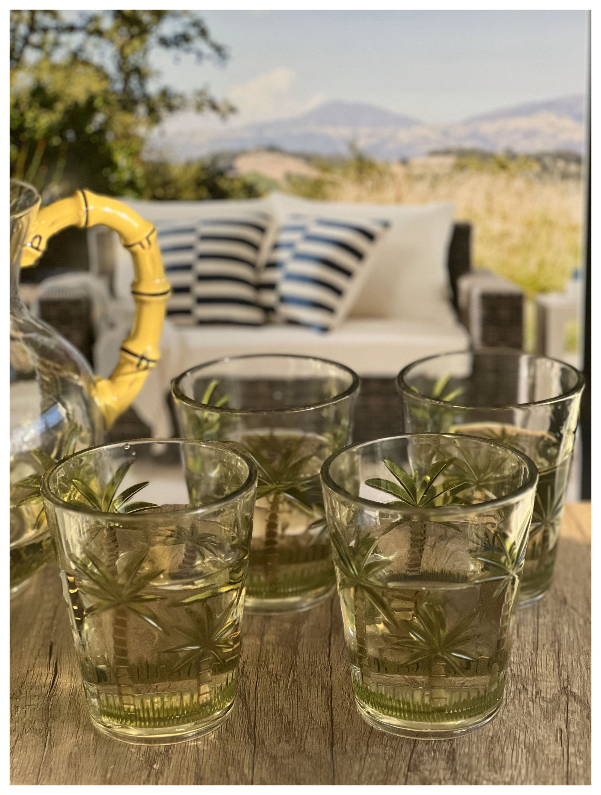 Set of Four Green Floral Acrylic Stemless Whiskey Glass