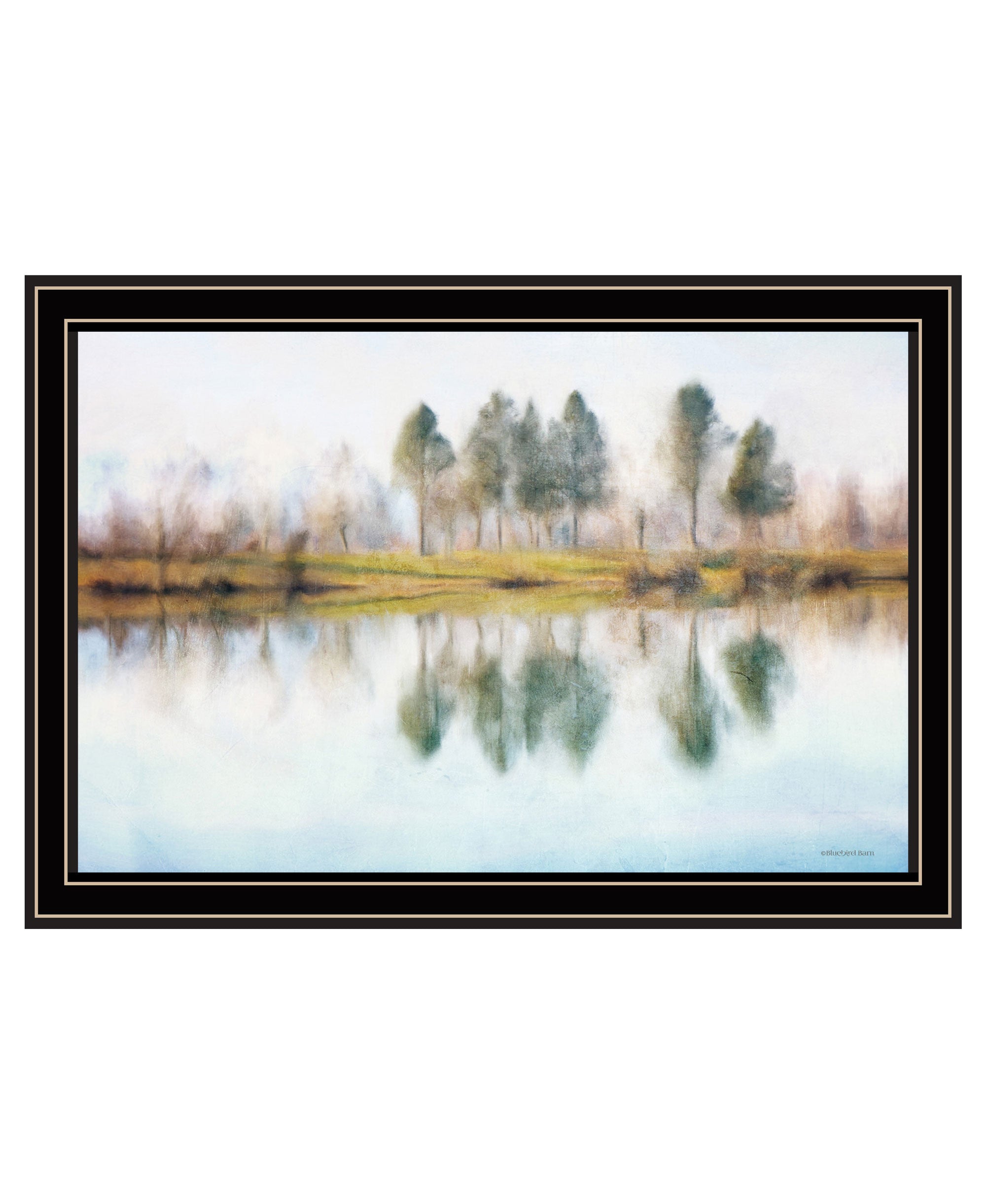 Lake Reflections Black Framed Print Wall Art