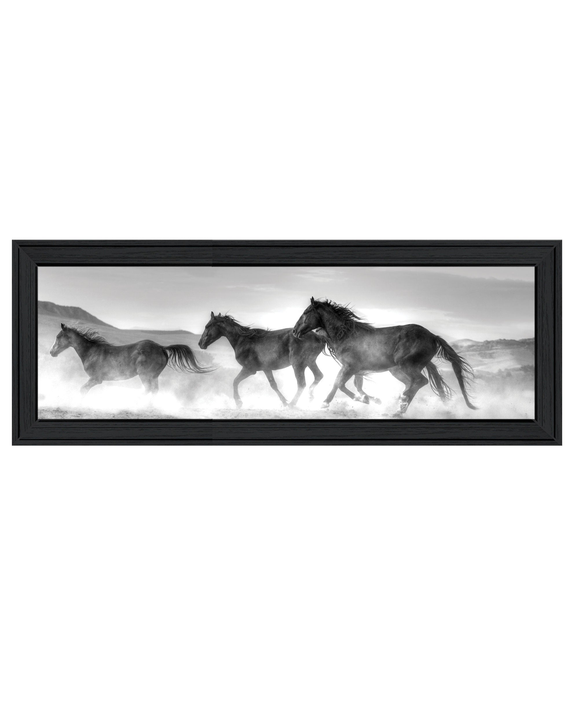 Horses Rolling By Black Framed Print Wall Art