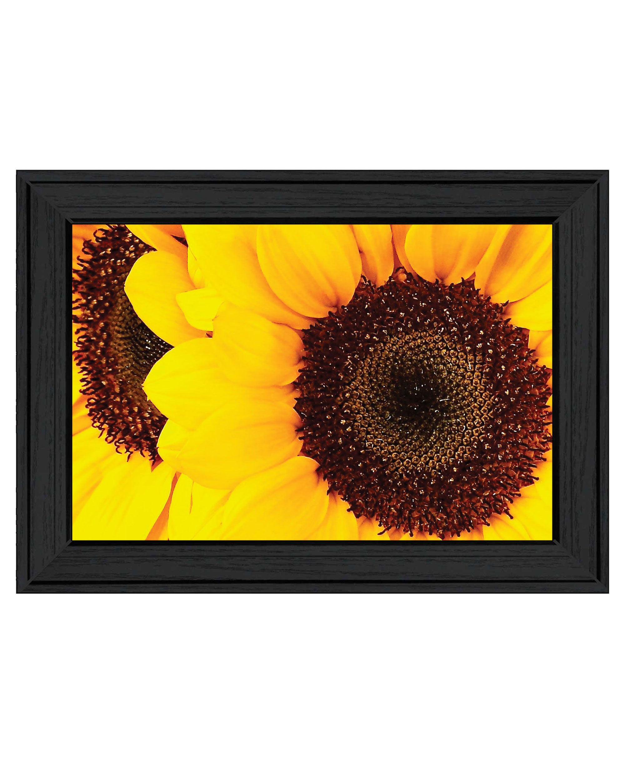 Sunflower Portrait Black Framed Print Wall Art