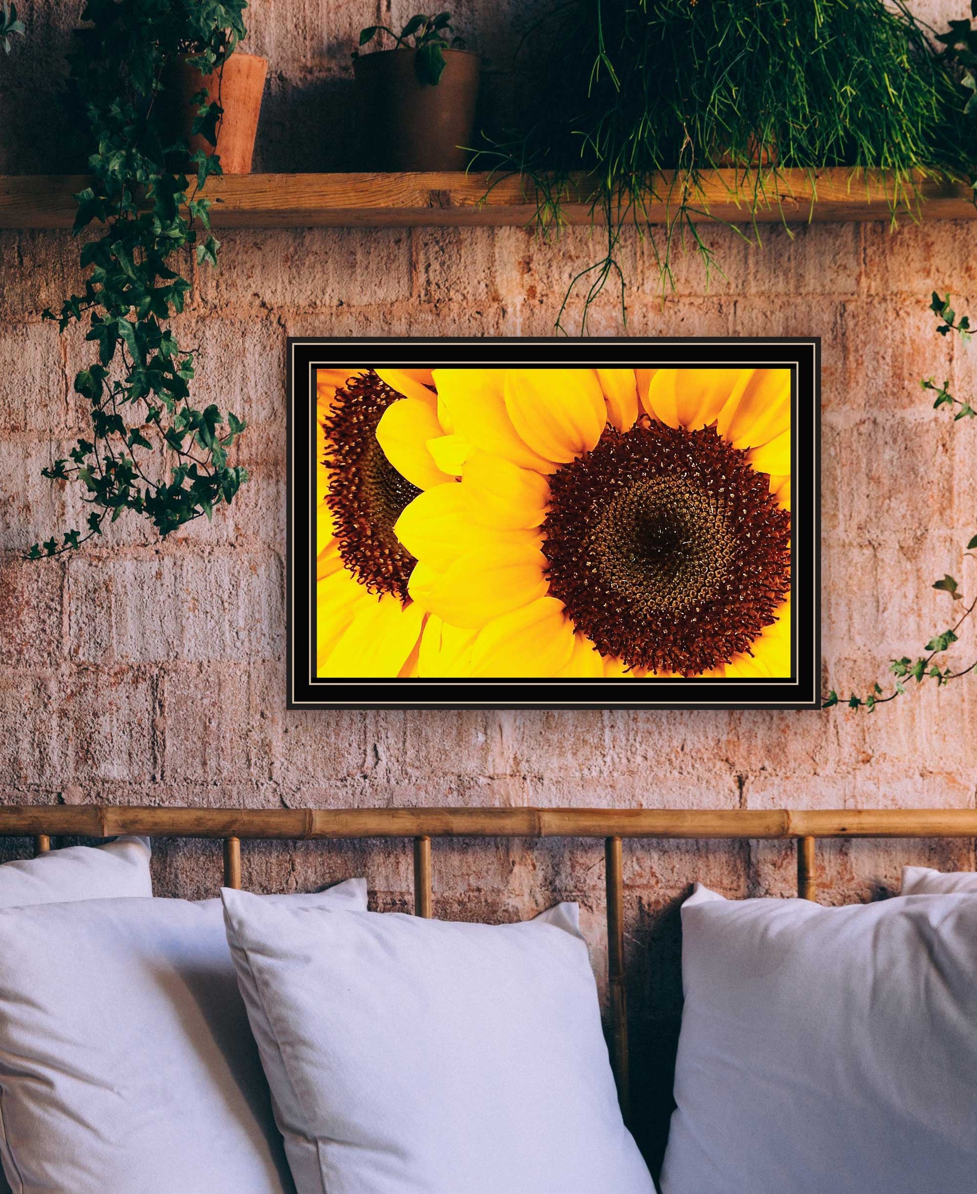 Sunflower Portrait Black Framed Print Wall Art