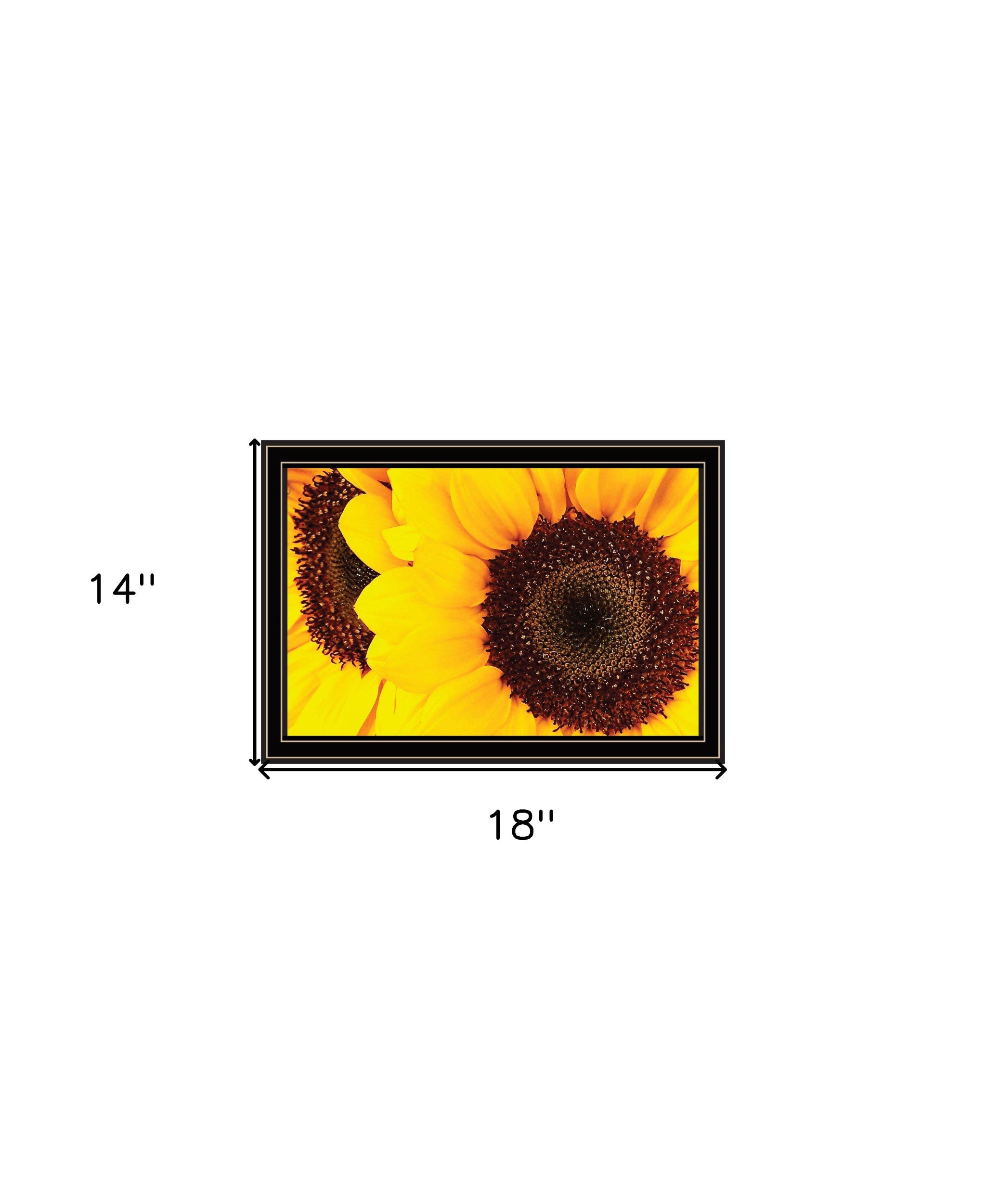 Sunflower Portrait Black Framed Print Wall Art