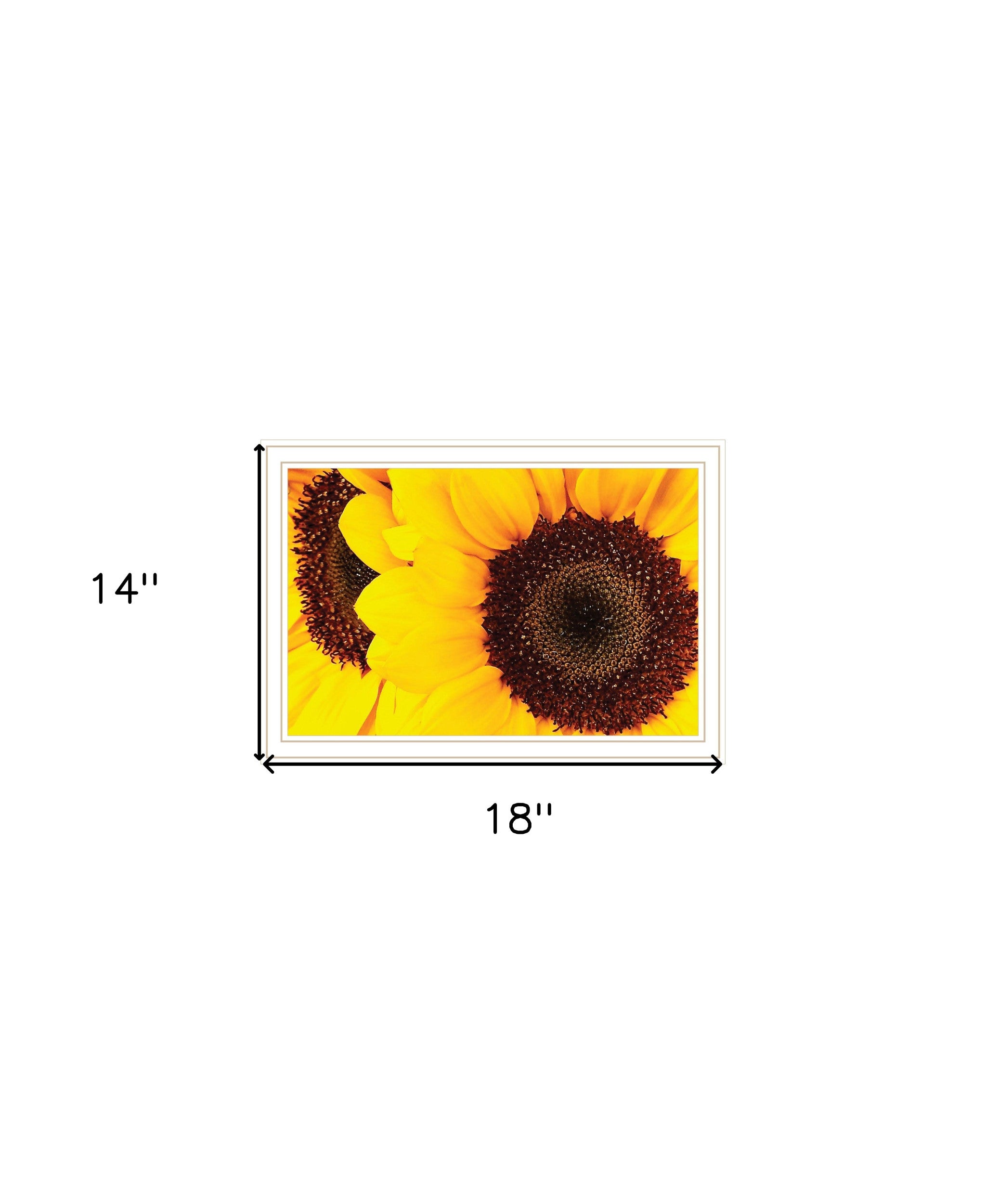 Sunflower Portrait Black Framed Print Wall Art