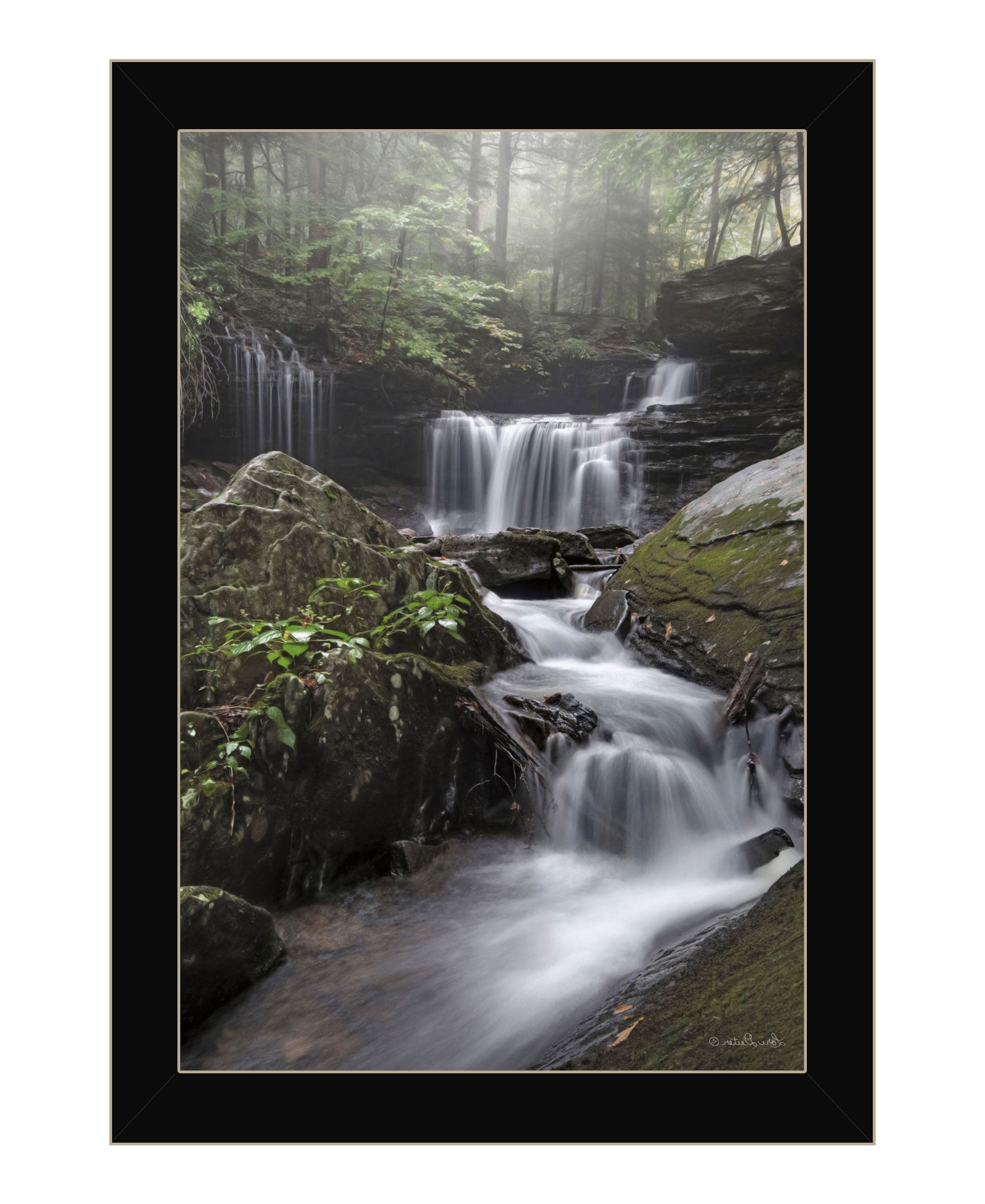 Ricketts Waterfall Black Framed Print Wall Art