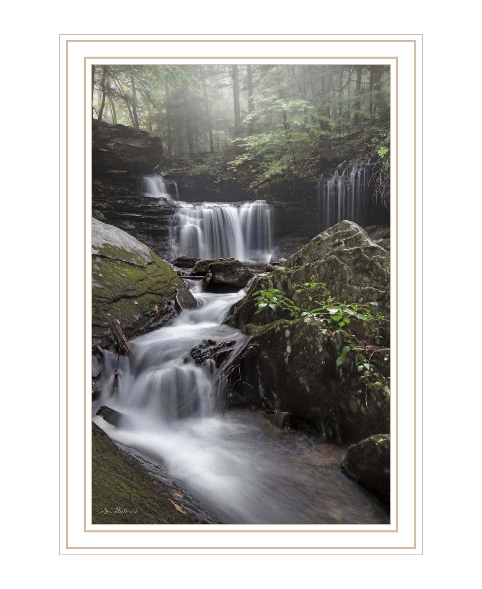 Ricketts Waterfall Black Framed Print Wall Art