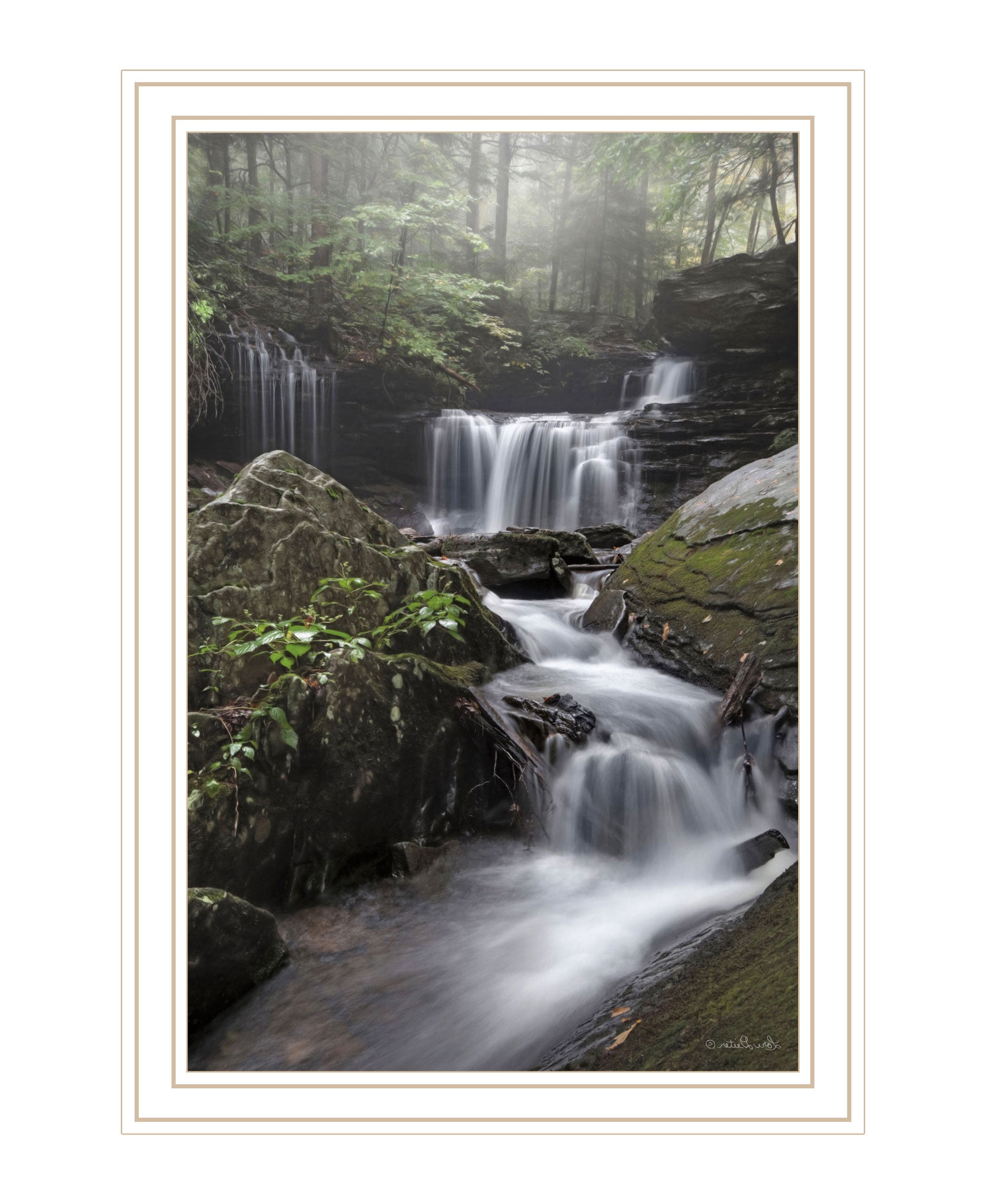 Ricketts Waterfall Black Framed Print Wall Art