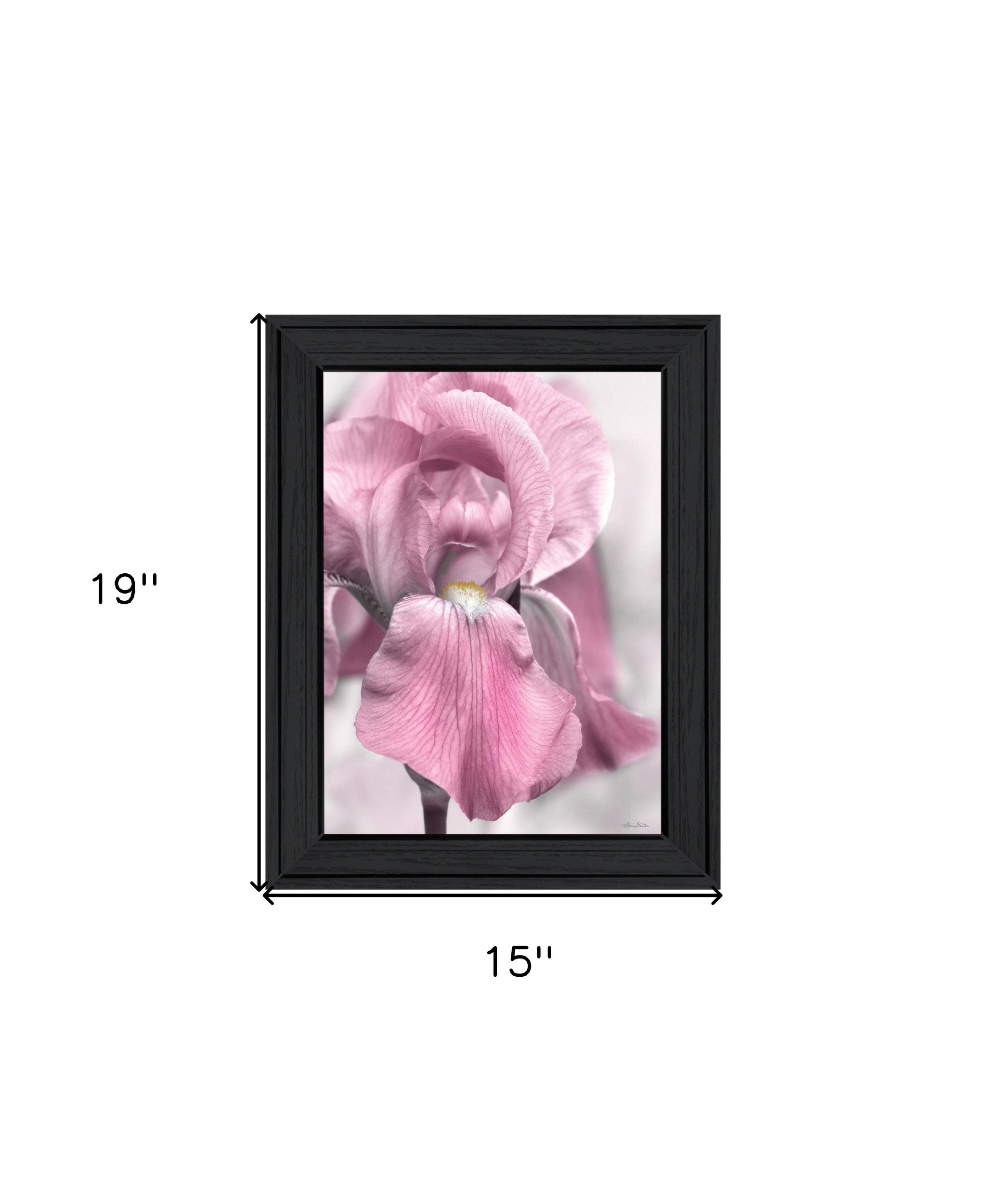 Pink Iris Black Framed Print Wall Art