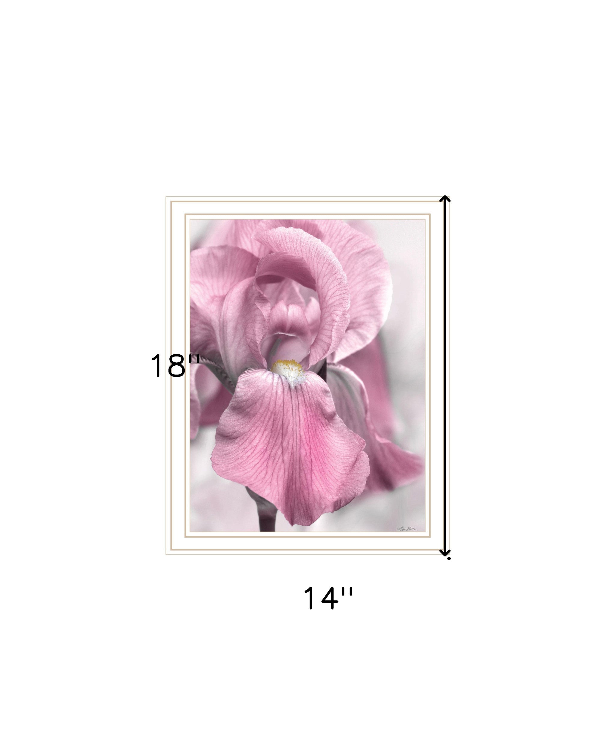 Pink Iris Black Framed Print Wall Art