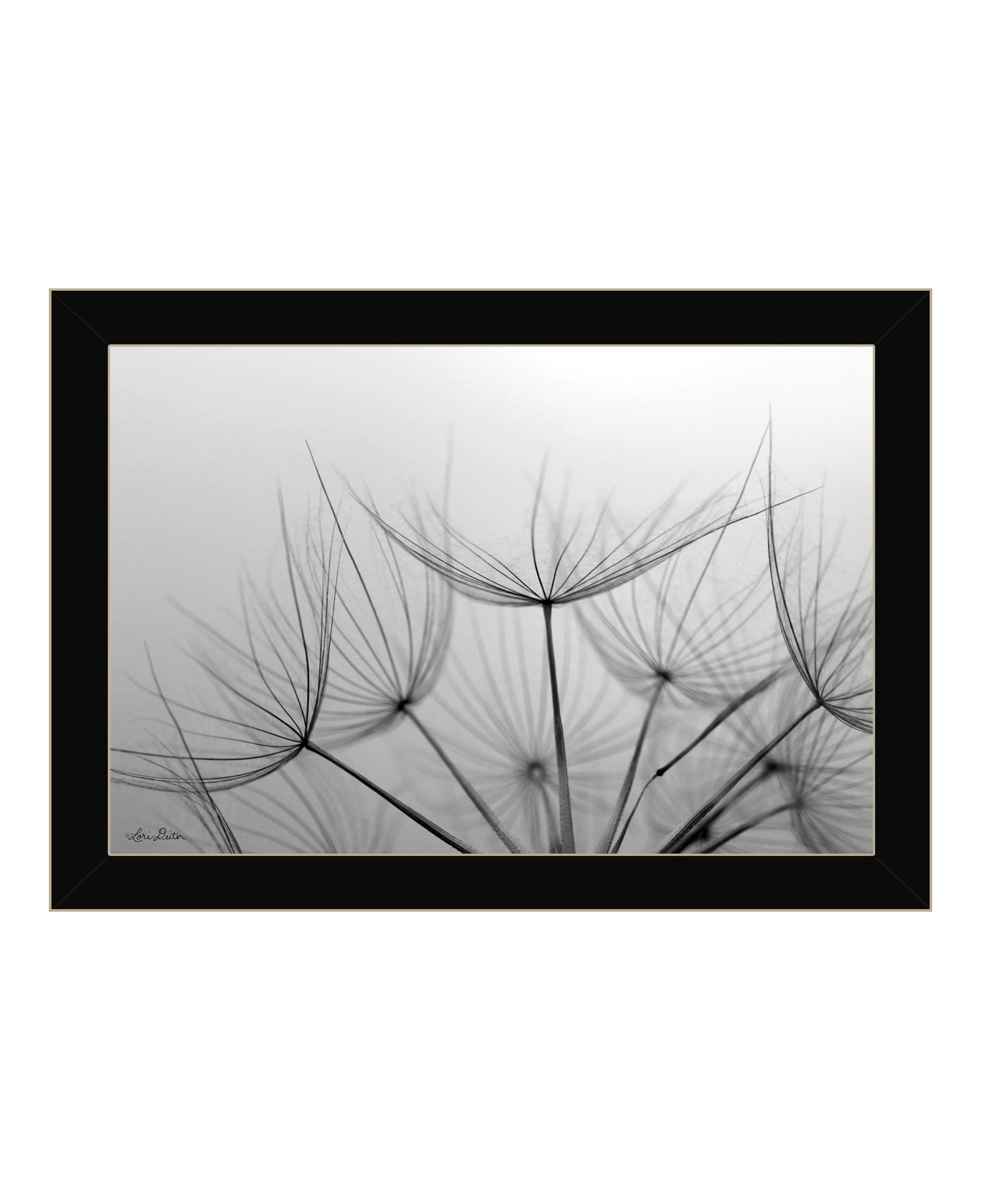 Love is a Delicate Flower Black Framed Print Wall Art