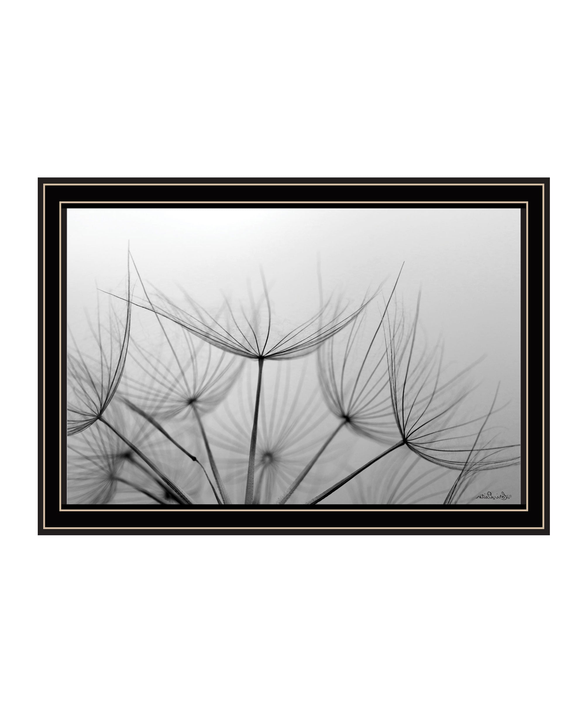 Love is a Delicate Flower Black Framed Print Wall Art